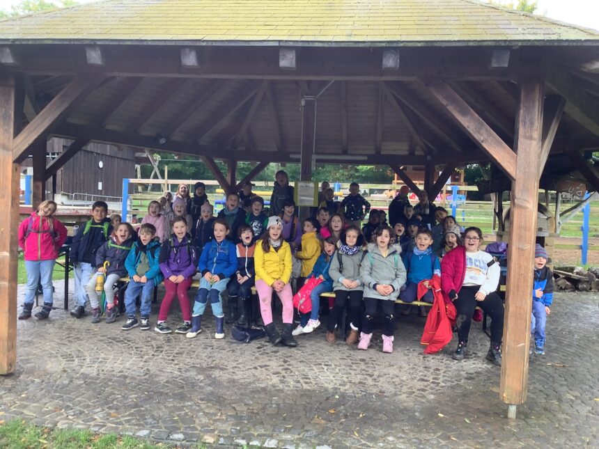 Besuch auf der Jugendfarm