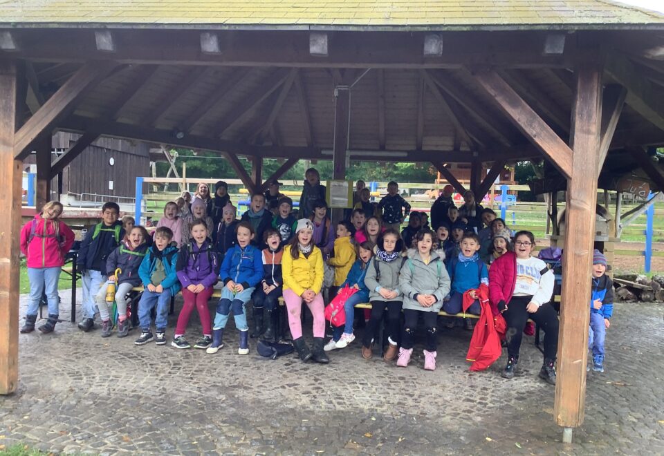 image1030187782992-AS_Jugendfarm-Gru Besuch auf der Jugendfarm